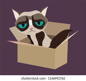 Upset unhappy cute cat in the box.Vector illustration flat simple modern design in art Nouveau style.Serious, gloomy cat cartoon pattern.