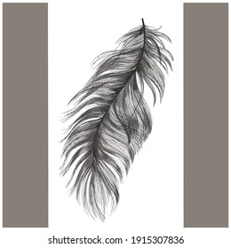 upside down feather vector with a background