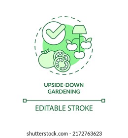 Upside down gardening green concept icon. Growing tomatoes. Gardening method abstract idea thin line illustration. Isolated outline drawing. Editable stroke. Arial, Myriad Pro-Bold fonts used