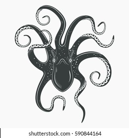 Upside down view on octopoda or octopus with curvy tentacles and suction cups on it. Spineless ocean or sea mollusk, marine cuttlefish. Underwater life tattoo and mascot, zoology predator theme