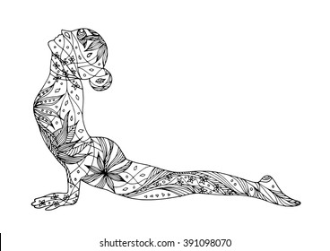 Upward Facing Dog Yoga Pose, Urdhva Mukha Svanasana, yoga position posture, hand drawn vector, 7 chakra flower floral symbol concept