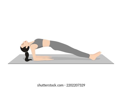 Upward Plank Pose Forearms. Beautiful girl practice Kona Purvottanasana. Young attractive woman practicing yoga exercise. working out, black wearing sportswear, grey pants and top, indoor full length