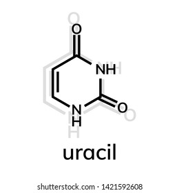 Uracil chemical formula on white background