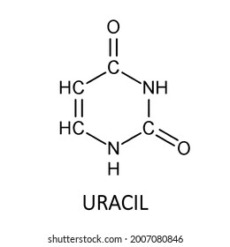 Uracil chemical formula. Vector editable