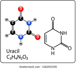 Uracil Molecule Structure