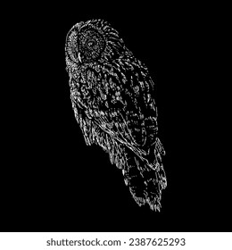 ural owl hand drawing vector isolated on black background.