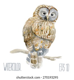 Ural owl. Vector Watercolor illustration.