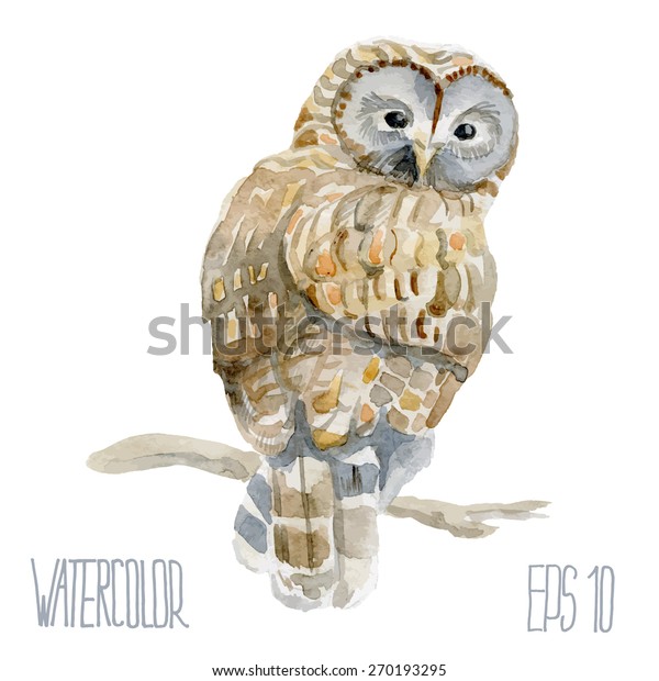 Download Ural Owl Vector Watercolor Illustration Stock Vector (Royalty Free) 270193295