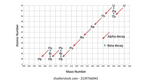 Uranium-238 undergoes 14 different radioactive decay processes before forming stable lead-206. Uranium-238 decay series