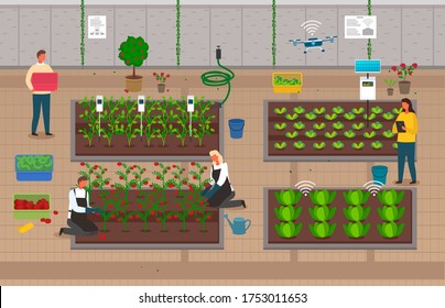 Urban agriculture behind wall. City farming, using modern technologies, solar panel, flying drones with gps signal. Developing farm infrastructure. Farmers or growers growing fresh vegetables, fruits