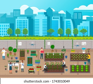 Urban Agriculture. City Farming, Using Modern Technologies, Solar Panel, Flying Drones With Gps Signal. Developing Farm Infrastructure At City Background. Farmers Growing Fresh Vegetables, Fruits