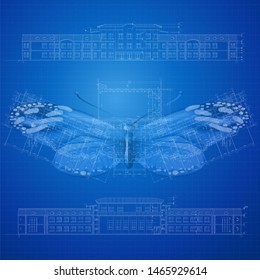 Urban Blueprint (vector). Architectural background. Part of architectural project, architectural plan, technical project, design on paper, construction plan