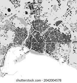 Stadtplan von Palma de Mallorca. Vektorgrafik, Palma de Mallorca Landkarte Graustufen Kunst Poster. Straßenkarte mit Straßen, Blick auf das Stadtgebiet.