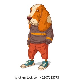 An Urban Dog  isolated vector illustration  A dog character in modern casual outfit standing and his hand in his pocket  A basset hound and human body white background  Drawn animal sticker
