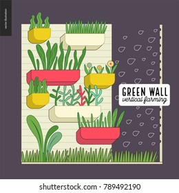 Urban farming, gardening or agriculture. Green wall - vertical farming. A wall with flowerpots and irrigating system