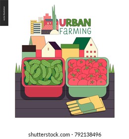 Urban farming, gardening or agriculture, harvest. Two containers filled with cucumbers and tomatos standing on the deck and gauntlets, with town houses on the background. Farming logo.