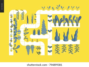 Urban farming, gardening or agriculture. Hydroponics - Continuous-flow solution culture - nutrient film technique. The growing system without soil.