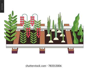 Urban farming, gardening or agriculture. Seedbed made in railing