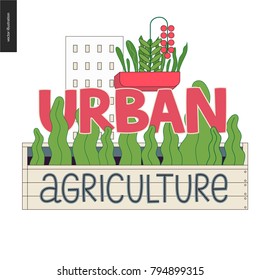 Urban farming, gardening or agriculture sign logo. A wooden seedbed with leaves of salad, a house on the background