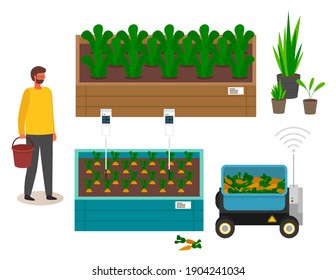 Urban farming, gardening or agriculture. Sprouts planting out to the wooden package bed. Growing vegetables using modern technology, use of greenhouses. Level neat seedlings beds with labels and marks