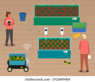 Urban farming, gardening or agriculture. Woman and man planted out the sprouts to the wooden package bed. Growing vegetables using modern technology and automated equipment, use of wooden greenhouses