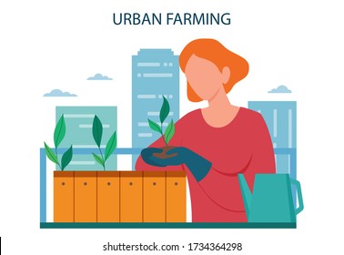 Urban farming or gardening concept. City agriculture. People planting and watering the sprout on the roof or balcony. Natural organic food. Isolated vector illustration