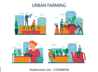 Urban farming or gardening concept set. City agriculture. People planting and watering the sprout on the roof or balcony. Natural organic food. Isolated vector illustration