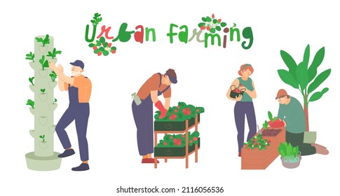 Urban farming, gardening. Flat characters. Editable vector illustration in modern style isolated on a white background. Future architecture and agriculture concept. Colorful graphic design