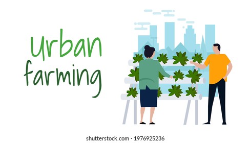 Urban Farming Hydroponics Gardening In City Organic Farm Activities