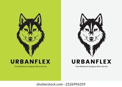 Urban  fox 