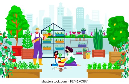 Urban garden at city building, vector illustration. Eco agriculture gardening at roof concept, plant nature grow at rooftop background. Flat organic growing at skyscraper roof, farming people.