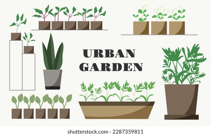 Urban Garden with home plants. Cozy Home Garden furnished in Hygge style. Isolated Vector