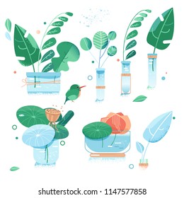 Urban Garden. Plants In Jars And Bottles. House Plants And Flowers In Pots. Green Leaves Of Exotic Plants. Greens And Freshness, Water. Flowers In Glass Bottles. Abstract Bunches. Flat Style. Vector