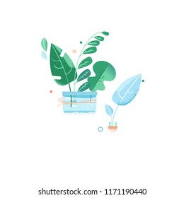 urban garden. plants in jars and bottles. house plants and flowers in pots. green leaves of exotic plants. greens and freshness, water. Flowers in glass bottles. Abstract bunches. Flat style. vector
