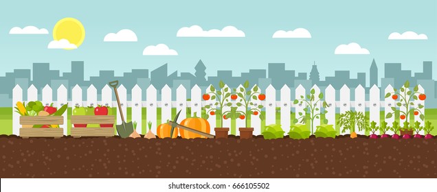 Urban Gardening Planting Growing Vegetables Flat Design Vector Graphic