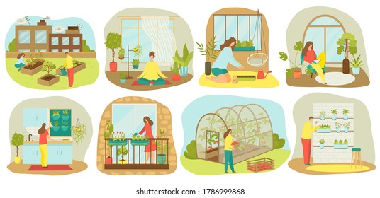 Urban gardening, plants and vegetables or agriculture set of vector illustrations. Planting garden on balcony, in kitchen, wooden seedbeds, vertical and roof farming and hydroponics, urban garden.