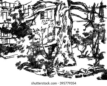 Urban graphic drawing. Monochrome sketch illustration on a white background. Nature. Sequoia Landscape