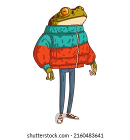 An Urban Guy, isolated vector illustration. A tranquil frog in a down jacket. Humanized toad. Tall anthropomorphic frog with a massive torso and legs. An animal character with a human body