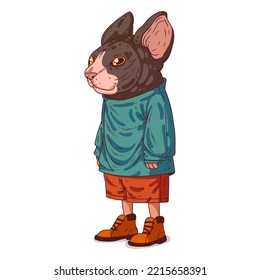 An Urban Guy, isolated vector illustration. Simply dressed cat person. Animal art. A sphynx with a human body in a casual outfit on white background. Drawn sticker. Calm anthropomorphic cat character