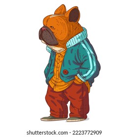 An Urban Guy, isolated vector illustration. Casually dressed dog person. A French Bulldog with a human body on white background. Drawn animal sticker art. Calm dog character watching something