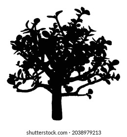 Urban house plant silhouette, trendy home decor plant tree with leaves. Indoor houseplants with stems and twigs, isolated. Vector.