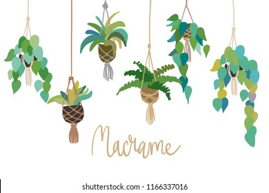 Urban interior house plants in decorative pots macrame hanger vector illustration. Hand drawn art succulents cacti ficus tropical plants in scandinavian minimal style. Lettering phrase Home sweet home