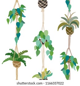 Urban interior house plants in decorative pots with macrame hanger vector illustration. Hand drawn art succulents cacti ficus tropical plants in scandinavian minimal style. Tile pattern for print