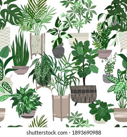 Urban jungle concept, seamless pattern with house plants in pots, hand drawn vector flat illustration.