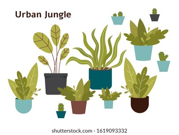 Urban jungle - hand drawn home plant set isolated on white background. Different green potted house plants for interior design and gardening - cartoon vector illustration.