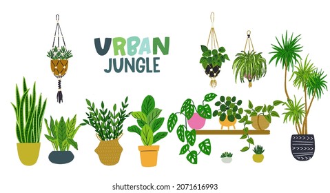 Urban Jungle hand lettering inscription and set of trendy home decor with exotic tropical houseplants in stylish planters, hangers and pots isolated on white background. Vector clipart bundle