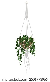 Urban jungle for home. Different green plant in pot. Home, office decoration. Houseplant in a pot hanging white macrame. Vector illustration