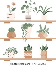 Urban jungle, home plants set in cute pots on the shelves. Gardening, greenhouse, planters, cacti, tropical leaves as home decor. Hand drawn flat vector elements for greeting cards, poster, banner