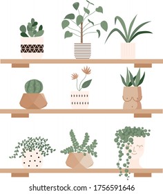 Urban jungle, home plants set in cute pots on the shelves. Gardening, greenhouse, planters, cacti, tropical leaves as home decor. Hand drawn flat vector elements for greeting cards, poster, banner
