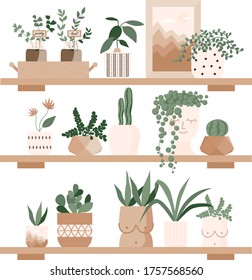 Urban jungle, home plants set in cute pots on the shelves. Gardening, greenhouse, planters, cacti, tropical leaves as home decor. Hand drawn flat vector elements for greeting cards, poster, banner
